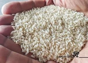 برنج عنبربو چیست